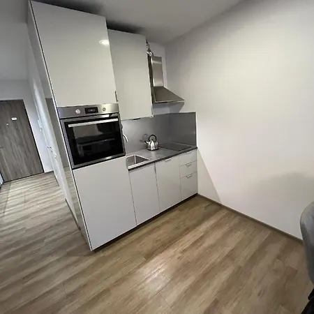Lovely Flat With Great Location Vilnius